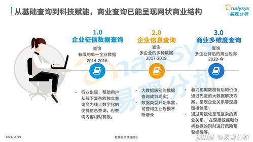 商业查询已成社会信用基石，中国商业查询市场发展机遇与企业在咨询服务下的市场策略